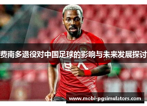 费南多退役对中国足球的影响与未来发展探讨