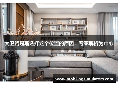大卫路易斯选择这个位置的原因:专家解析为中心 大卫路易斯选择这个位置的原因:专家解析为中心