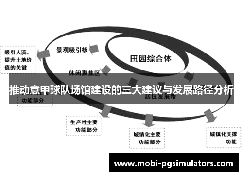推动意甲球队场馆建设的三大建议与发展路径分析